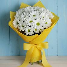 Букет цветов из:  Хризантемы в Белозерске