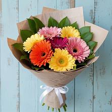 Букет цветов из:  Герберы в Белозерске