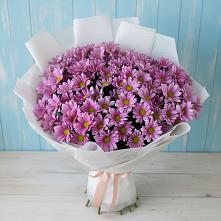 Букет цветов из:  Хризантемы в Белозерске