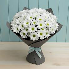 Букет цветов из:  Хризантемы в Белозерске