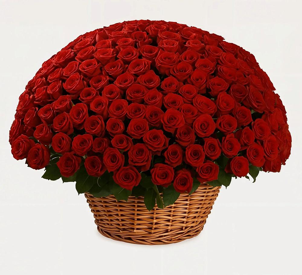 Премиум букет из: Розы в Белозерске