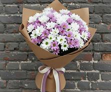 Букет цветов из:  Хризантемы в Белозерске