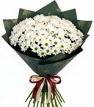 Букет цветов из:  Хризантемы в Белозерске
