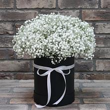 Цветочная композиция из Гипсофила в шляпной коробке в Белозерске